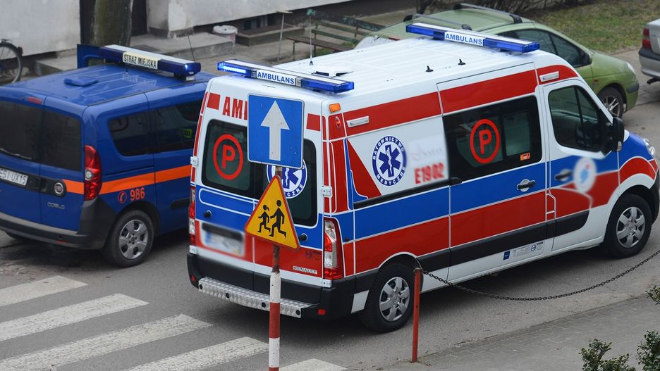Właściciel psa miał w organizmie ponad 2,6 promila alkoholu