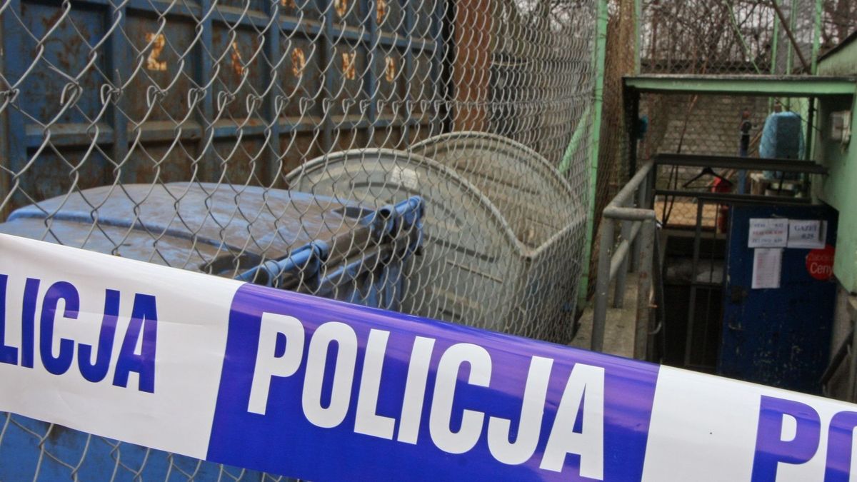 Zdjęcie ilustracyjne