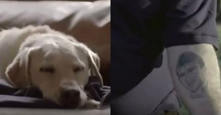 Po obejrzeniu tych nagrań zaczniesz jeździć bezpieczniej. Kampanie reklamowe, które dają do myślenia