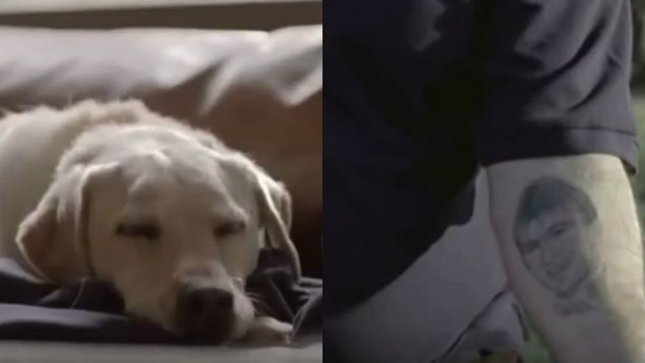 Kampania społeczna "Pictures of You"