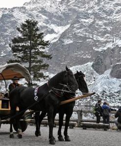 Wypadek konia na trasie do Morskiego Oka. Wstrząsające zachowanie woźnicy