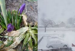 To ostatni atak zimy w tym roku. Internauci podesłali nam zdjęcia