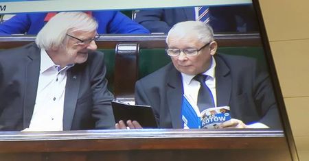 PO chce wylicytować "Atlas kotów". Posłowie PiS zareagowali natychmiast