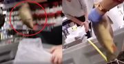 Ryby latają po sklepie, a obsługa dusi je w reklamówkach. Do sieci wyciekło wstrząsające nagranie