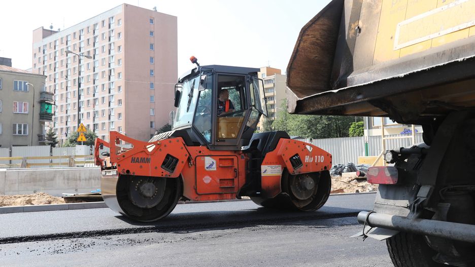 Warszawa. Naukowcy ustalili, do jakiego zwierzęcia należały znalezione na budowie metra kości
