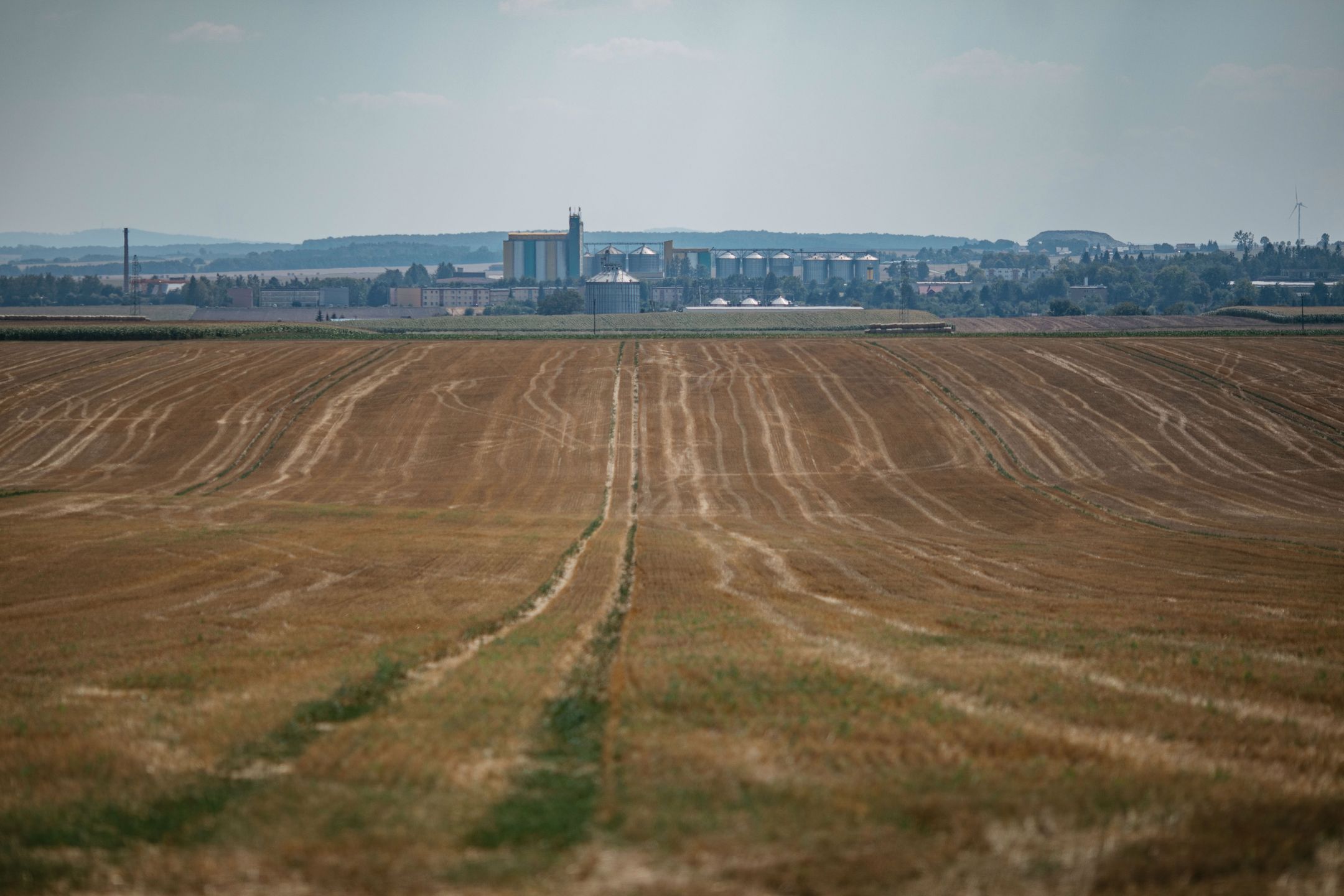Kombinat posiada większość pól wokół Kietrza. Łącznie to ponad 9 tys. hektarów. 