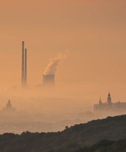 Polska zaskarżyła unijną dyrektywę