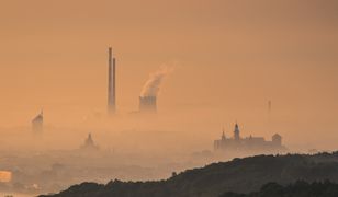 Polska zaskarżyła unijną dyrektywę