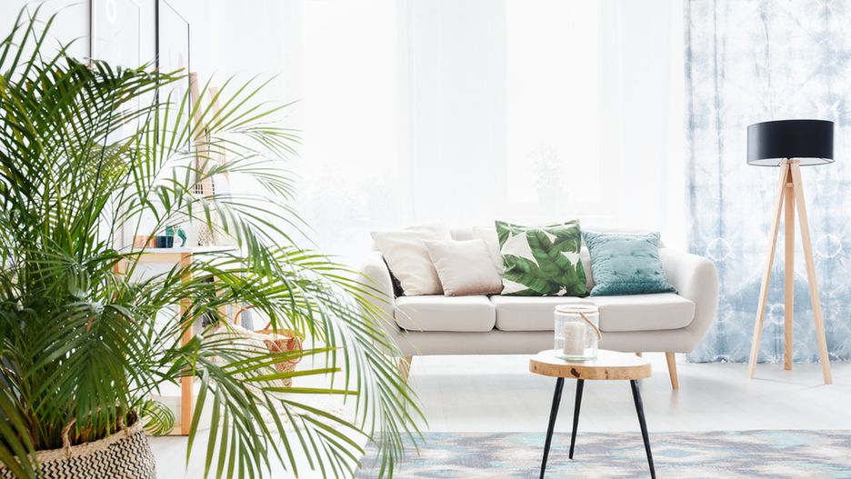 Wnętrze w stylu urban jungle to idealny wybór dla miłośników roślin