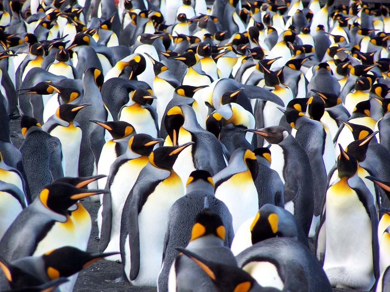 Czy jesteś spostrzegawczy? To nie jest łatwy quiz...