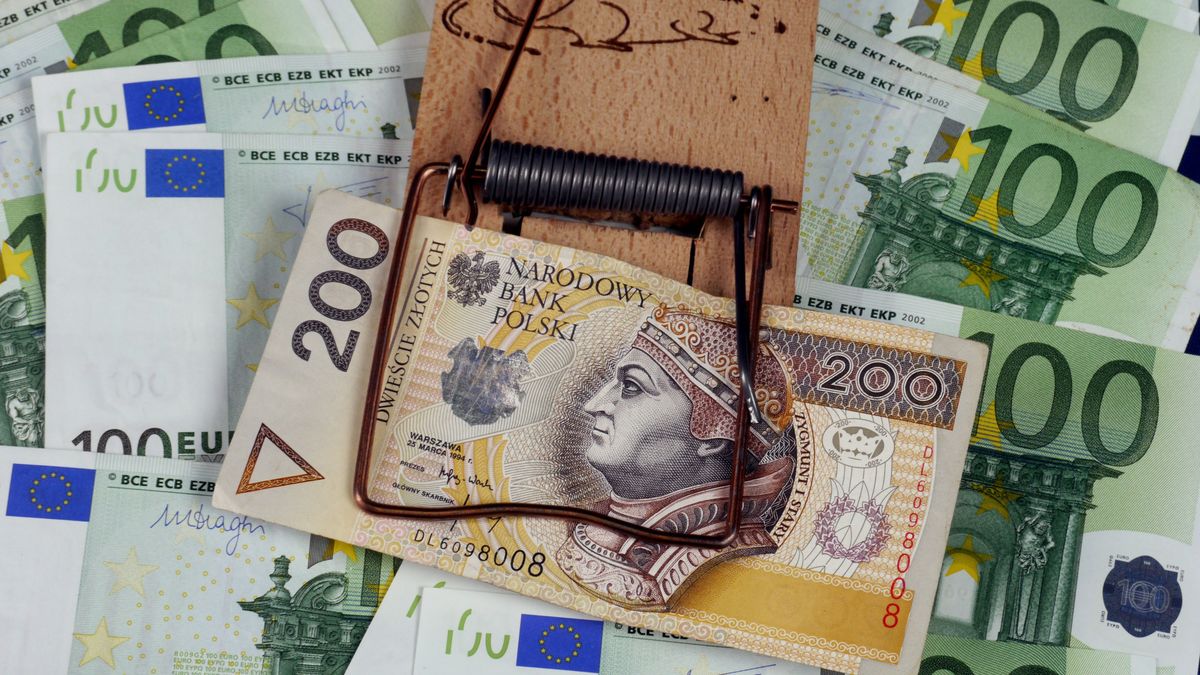 Kursy walut. Co ze złotym?