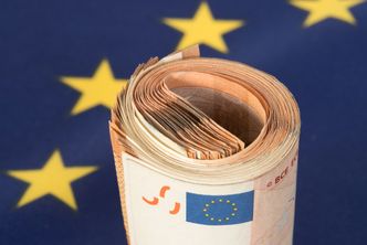 "Money. To się liczy". Euro w Polsce. Kiedy szanse na nową walutę