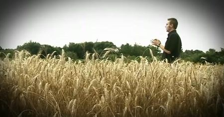 Paranormalna Polska: Kręgi w zbożu pod Garwolinem