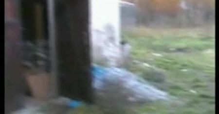 Likwidacja plantacji konopi w Radomiu