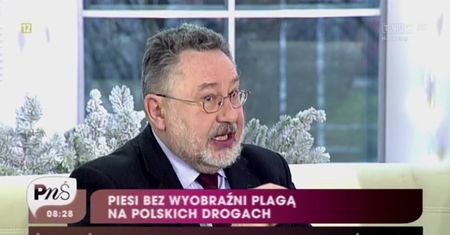 Zachowanie pieszych na polskich drogach