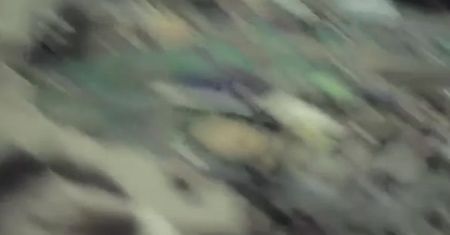 Joanna (2013)