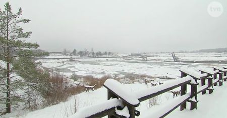 Z wizytą u polskich dinozaurów