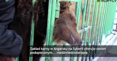 Resocjalizacja po rosyjsku