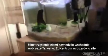 Silne trzęsienie ziemi na Okinawie