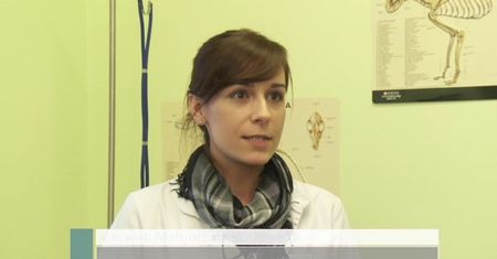 Jakie zwierzę będzie odpowiednie dla alergika?