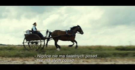 Dziennik panny służącej (2015)