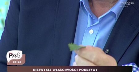 Właściwości pokrzywy
