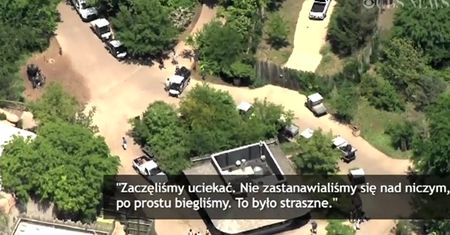 Ucieczka tygrysa i panika turystów w zoo