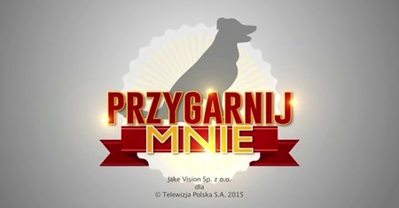 Włodarczyk płacze przed kamerami