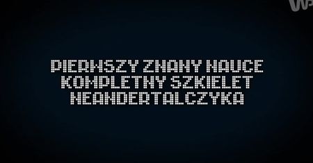 Niezwykłe odkrycie w głębinach jaskini [Pixel]