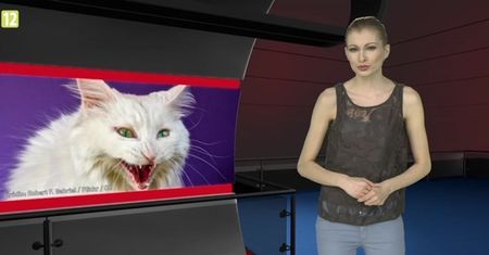 #dziejesiewtechnologii: absurdy, nowości