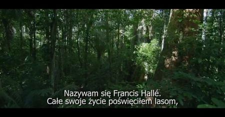 Był sobie las (2013)
