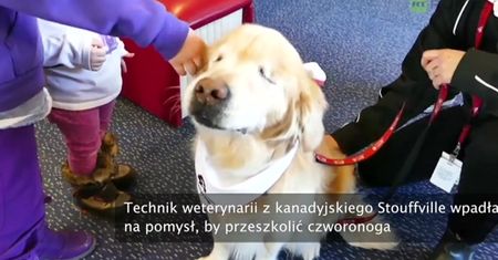 Wzruszająca historia niewidomego psa