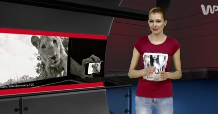 #dziejesiewtechnologii: ogłupiające telefony
