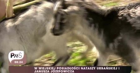 Urbańska i Józefowicz pokazali swoją wiejską willę w TVP
