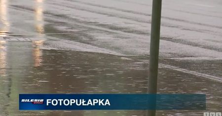 Mandat dla właściciela, a nie kierującego