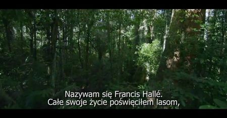 "Był sobie las" (2014)