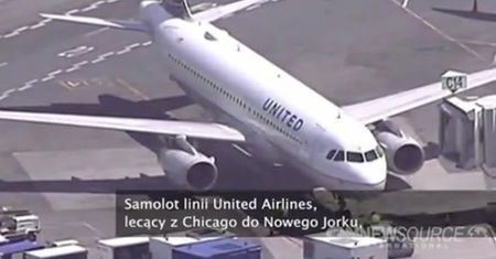 Samolot zderzył się z ptakiem