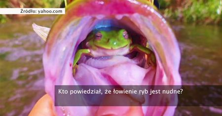 Niecodzienna przygoda rybaka