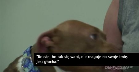 Niesłysząca kobieta przygarnęła głuchego psa
