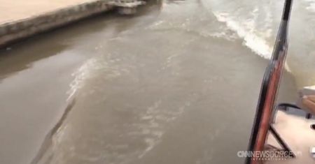 Karpie skaczą ponad wodę i same wpadają w sieć