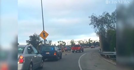 Brutalna interwencja policjanta w Los Angeles