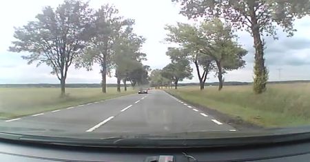 Ryzykowna jazda zakończona na drzewie