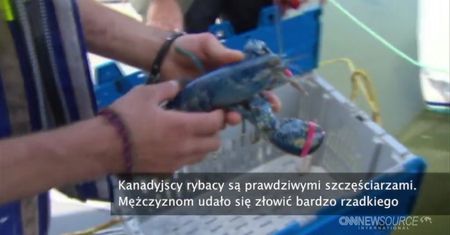 Niezwykły połów w Kanadzie