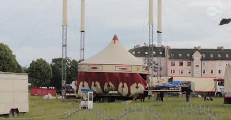 Lew odgryzł rękę opiekunowi