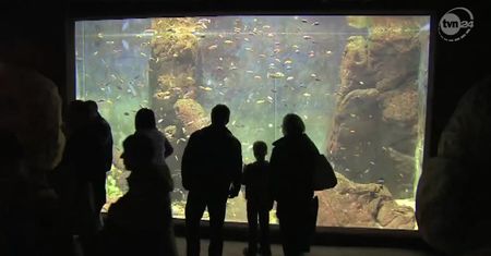We Wrocławiu otwarto afrykarium