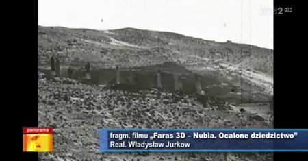 Polski archeologiczny sukces stulecia