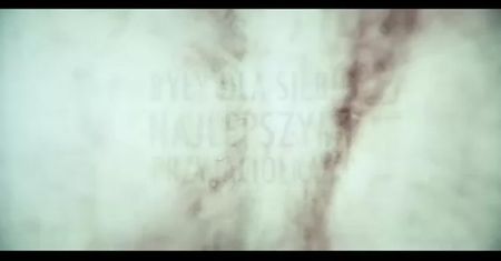 Siostry i Schiller (2014)
