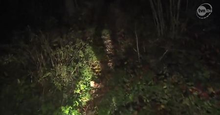 Turysta zaginął w Beskidach