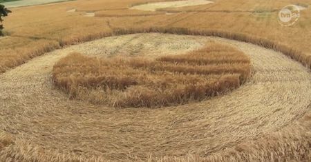 Dzieło UFO czy człowieka? Kręgi w zbożu w Wielkopolsce