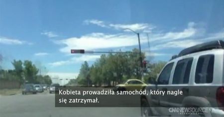 Dziewięciokilogramowy pyton pod maską samochodu